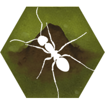 Finally Ants v2.53 MOD APK (Unlimited Material, Carbohydrate)