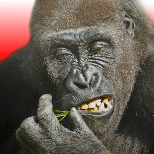 Flying Gorilla v5.0.15 MOD APK (Free Rewards)