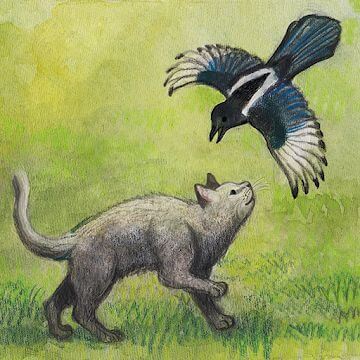 Milo and the Magpies v1.0.6 APK (Full Game)