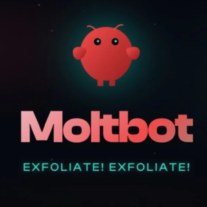 MoltBot AI Agent (Personal AI Assistant)