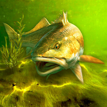 My Fishing World v1.15.13 MOD APK (Free Purchase, VIP)