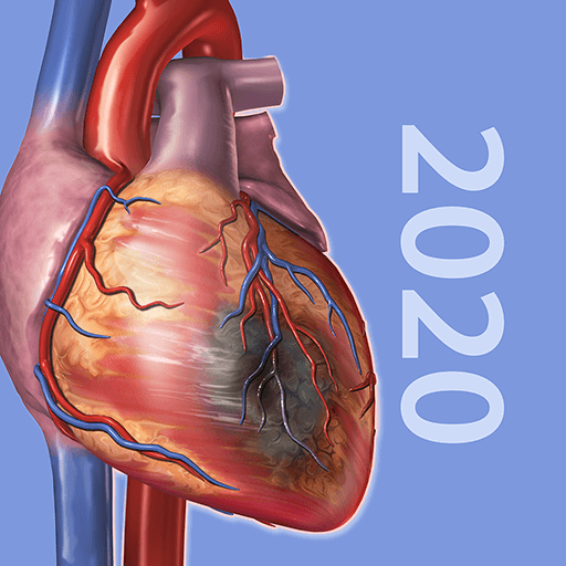 Physiology & Pathology v1.1.06 APK + OBB (Full Paid, Patched)