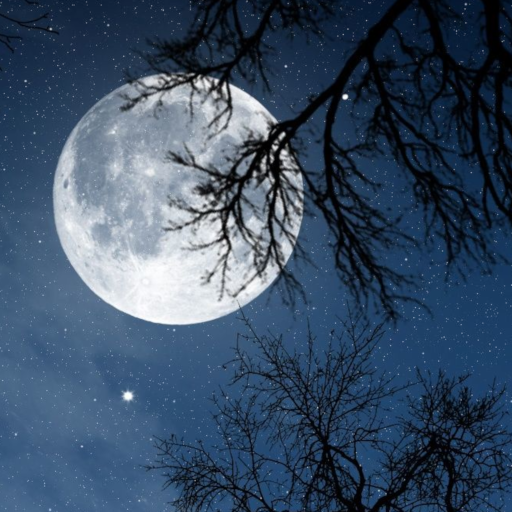 Relax Night v6.1.3 MOD APK (Premium Unlocked)