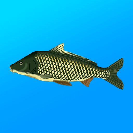 True Fishing v1.19.0.904 MOD APK (Unlimited Money)