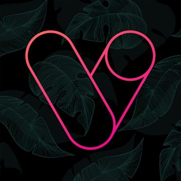 Vera Outline Icon Pack v6.2.2 APK (Patched)