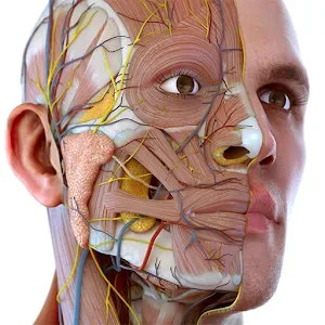 Visual Anatomy 3D v3.56 MOD APK (Premium Unlocked)