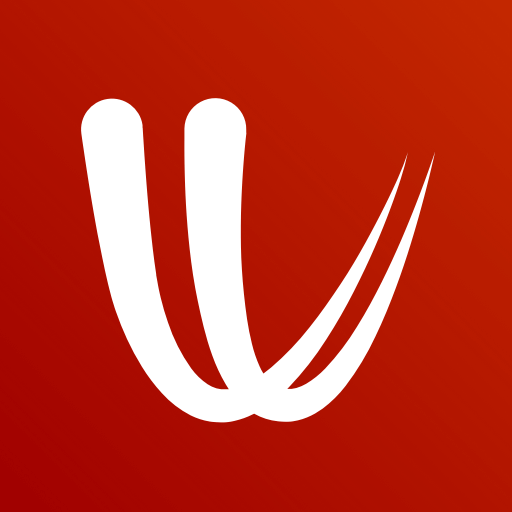 Windy.com v48.1.2 APK + MOD (Premium Unlocked)