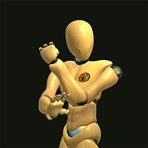 Wing Chun Trainer v404 MOD APK (Premium Unlocked)