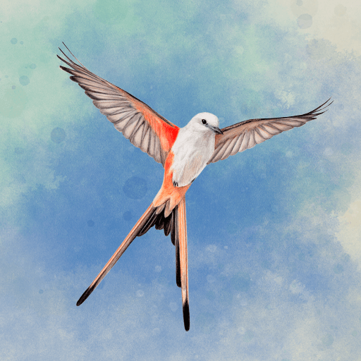 Wingspan: The Board Game v1.7.917 MOD APK (Unlocked)